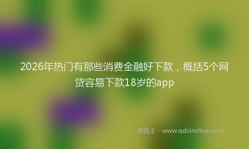 2026年热门有那些消费金融好下款，概括5个网贷容易下款18岁的app