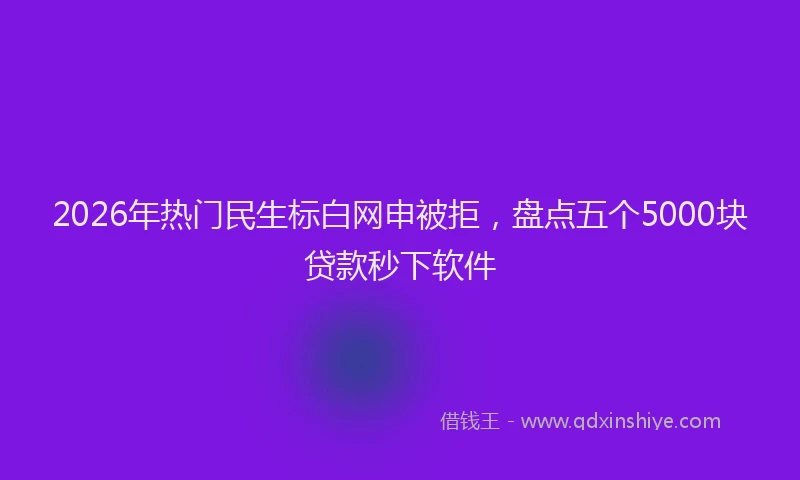 2026年热门民生标白网申被拒，盘点五个5000块贷款秒下软件