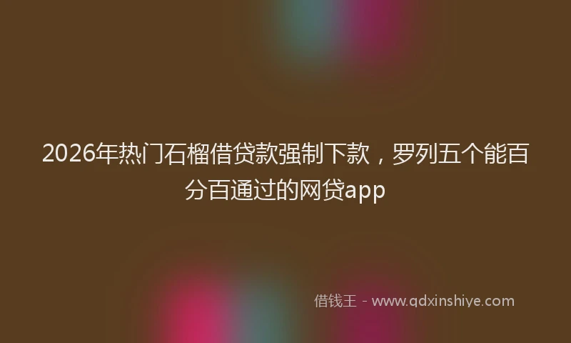 2026年热门石榴借贷款强制下款，罗列五个能百分百通过的网贷app
