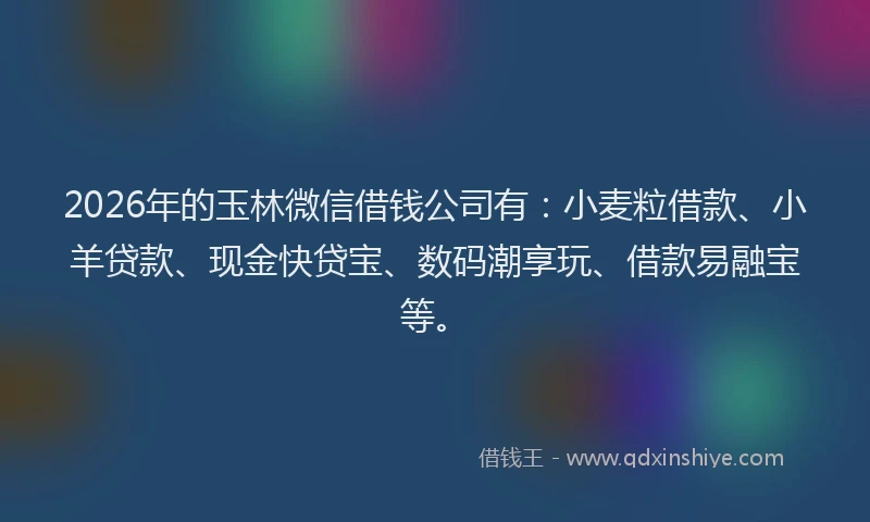 2026年的玉林微信借钱公司有：小麦粒借款、小羊贷款、现金快贷宝、数码潮享玩、借款易融宝等。