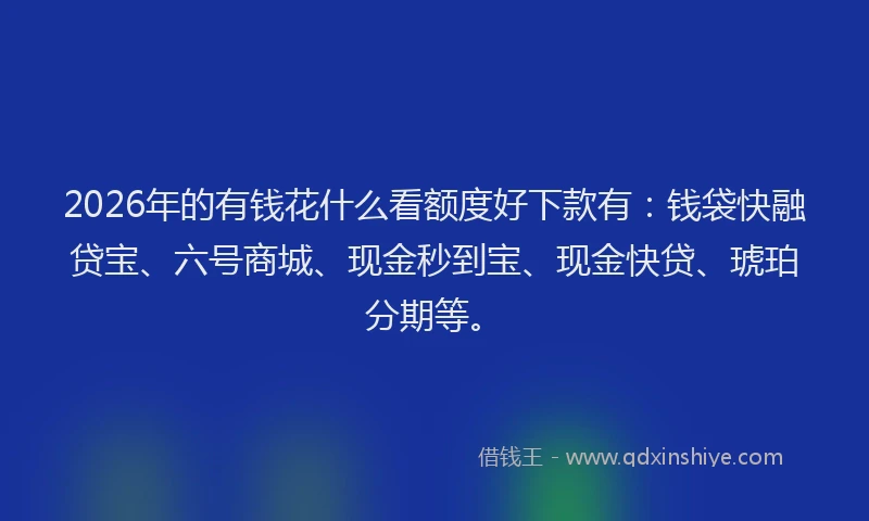 2026年的有钱花什么看额度好下款有：钱袋快融贷宝、六号商城、现金秒到宝、现金快贷、琥珀分期等。