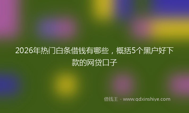 2026年热门白条借钱有哪些，概括5个黑户好下款的网贷口子