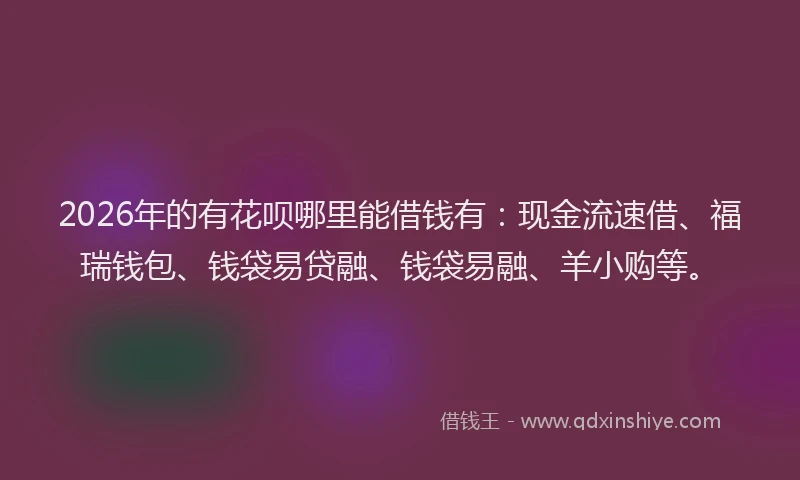 2026年的有花呗哪里能借钱有:现金流速借、福瑞钱包、钱袋易贷融、钱袋易融、羊小购等。
