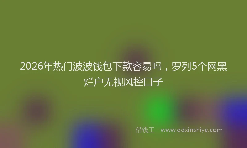 2026年热门波波钱包下款容易吗，罗列5个网黑烂户无视风控口子