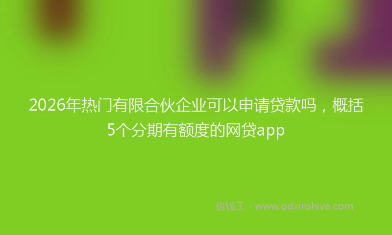 2026年热门有限合伙企业可以申请贷款吗，概括5个分期有额度的网贷app