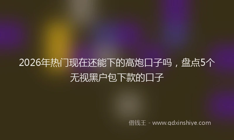 2026年热门现在还能下的高炮口子吗，盘点5个无视黑户包下款的口子