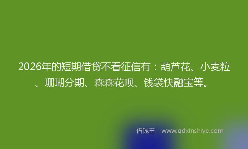 2026年的短期借贷不看征信有：葫芦花、小麦粒、珊瑚分期、森森花呗、钱袋快融宝等。