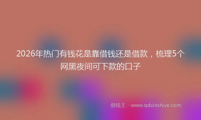 2026年热门有钱花是靠借钱还是借款，梳理5个网黑夜间可下款的口子