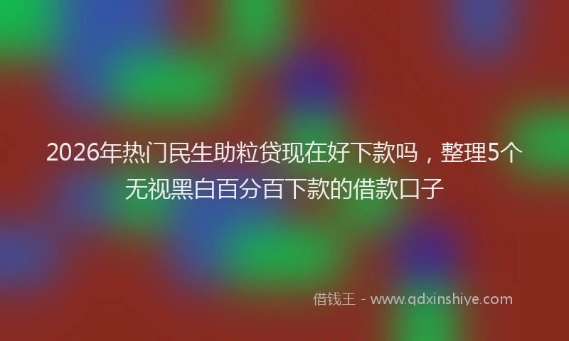 2026年热门民生助粒贷现在好下款吗，整理5个无视黑白百分百下款的借款口子