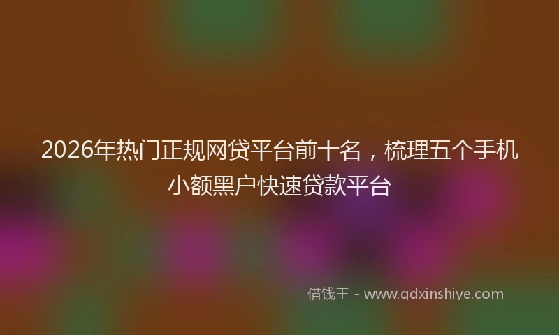 2026年热门正规网贷平台前十名，梳理五个手机小额黑户快速贷款平台