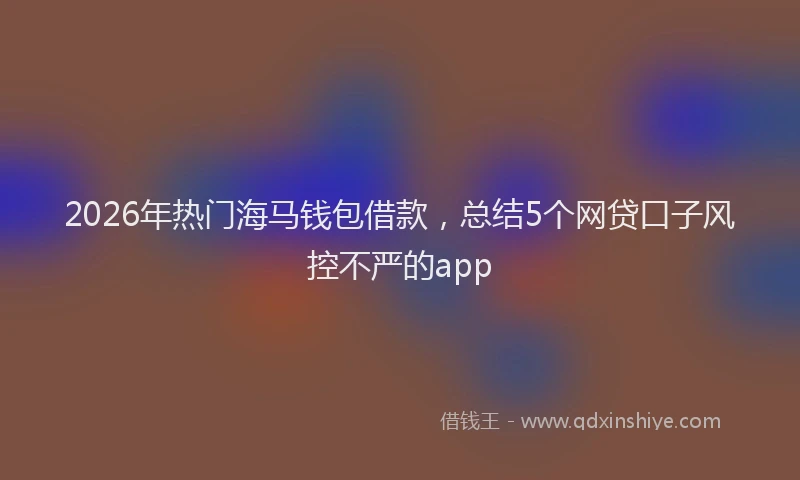 2026年热门海马钱包借款，总结5个网贷口子风控不严的app