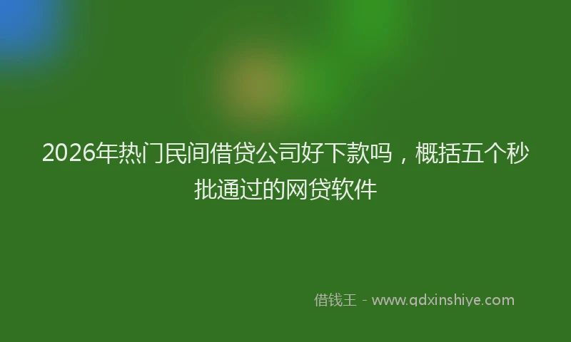 2026年热门民间借贷公司好下款吗，概括五个秒批通过的网贷软件