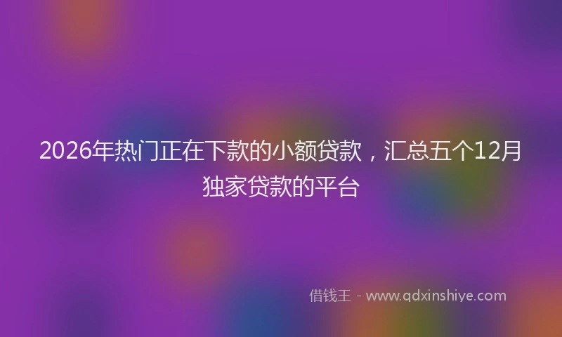2026年热门正在下款的小额贷款,汇总五个12月独家贷款的平台