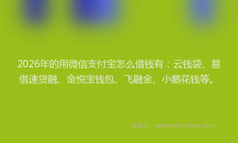 2026年的用微信支付宝怎么借钱有：云钱袋、易借速贷融、金悦宝钱包、飞融金、小鹅花钱等。