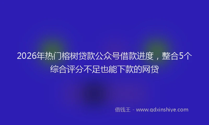 2026年热门榕树贷款公众号借款进度，整合5个综合评分不足也能下款的网贷