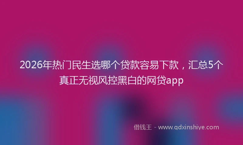 2026年热门民生选哪个贷款容易下款，汇总5个真正无视风控黑白的网贷app