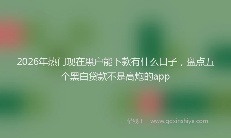 2026年热门现在黑户能下款有什么口子，盘点五个黑白贷款不是高炮的app