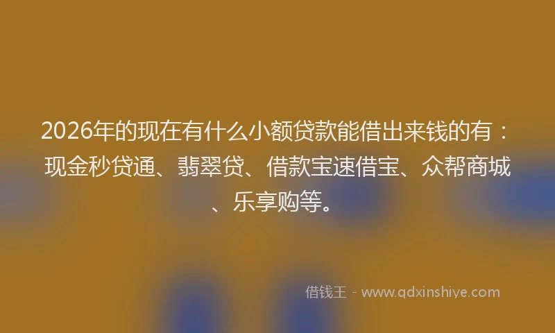 2026年的现在有什么小额贷款能借出来钱的有：现金秒贷通、翡翠贷、借款宝速借宝、众帮商城、乐享购等。
