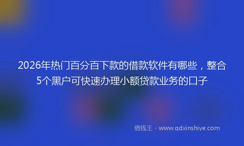 2026年热门百分百下款的借款软件有哪些，整合5个黑户可快速办理小额贷款业务的口子