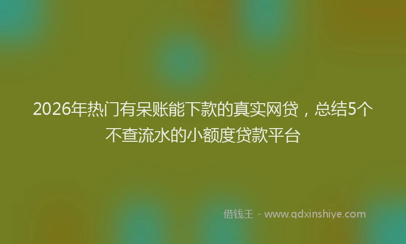 2026年热门有呆账能下款的真实网贷，总结5个不查流水的小额度贷款平台