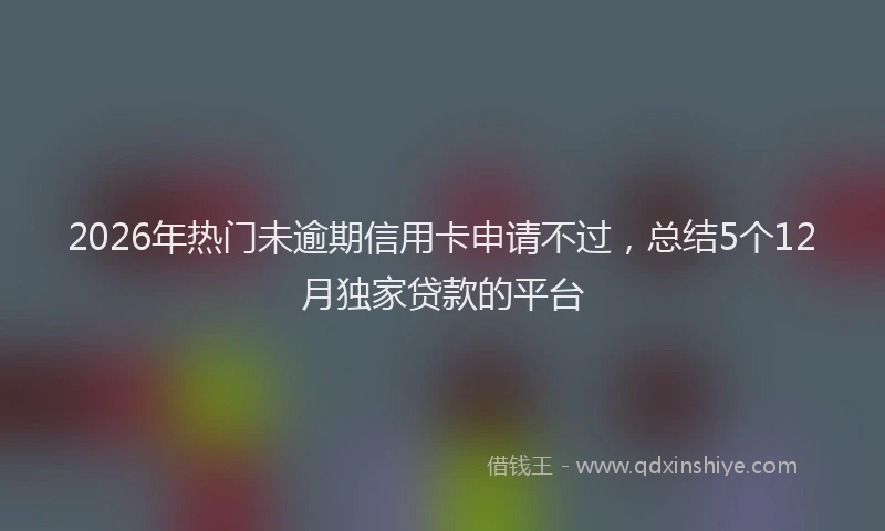 2026年热门未逾期信用卡申请不过,总结5个12月独家贷款的平台