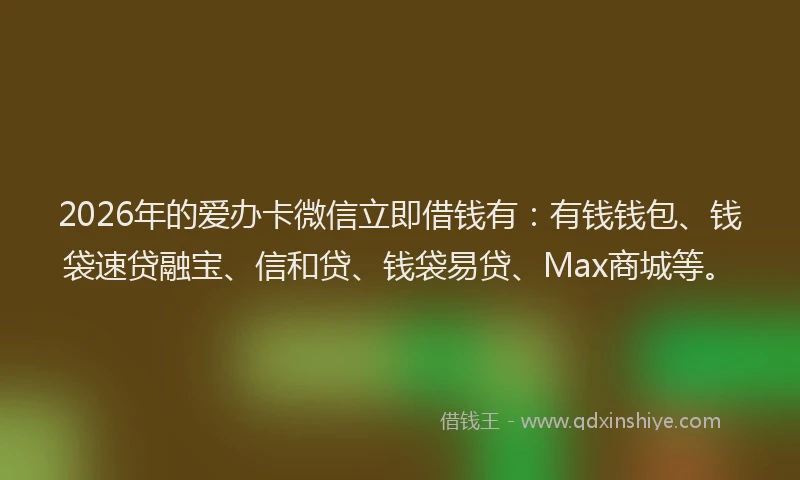 2026年的爱办卡微信立即借钱有：有钱钱包、钱袋速贷融宝、信和贷、钱袋易贷、Max商城等。