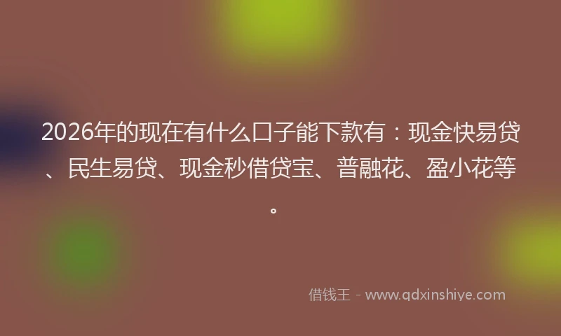 2026年的现在有什么口子能下款有：现金快易贷、民生易贷、现金秒借贷宝、普融花、盈小花等。