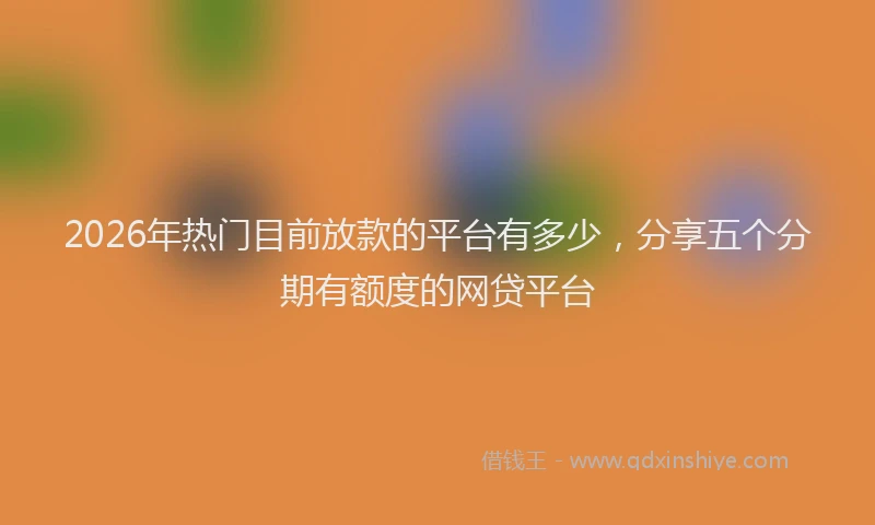 2026年热门目前放款的平台有多少，分享五个分期有额度的网贷平台