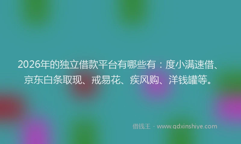 2026年的独立借款平台有哪些有：度小满速借、京东白条取现、戒易花、疾风购、洋钱罐等。
