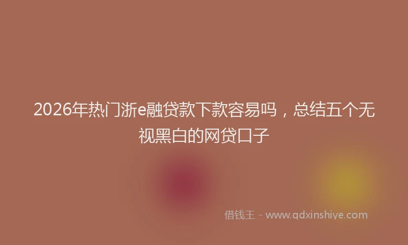 2026年热门浙e融贷款下款容易吗，总结五个无视黑白的网贷口子