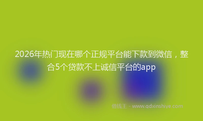 2026年热门现在哪个正规平台能下款到微信,整合5个贷款不上诚信平台的app