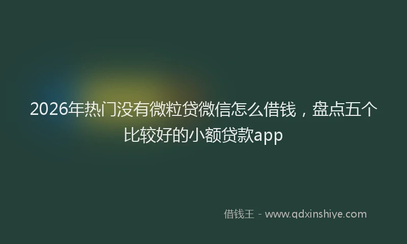 2026年热门没有微粒贷微信怎么借钱，盘点五个比较好的小额贷款app