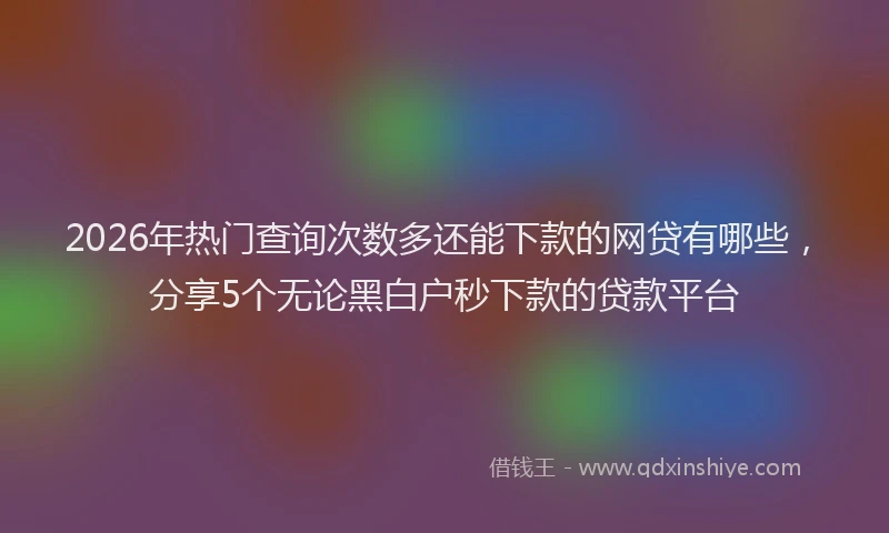 2026年热门查询次数多还能下款的网贷有哪些，分享5个无论黑白户秒下款的贷款平台