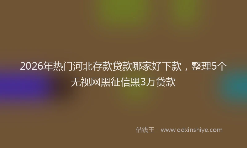 2026年热门河北存款贷款哪家好下款，整理5个无视网黑征信黑3万贷款