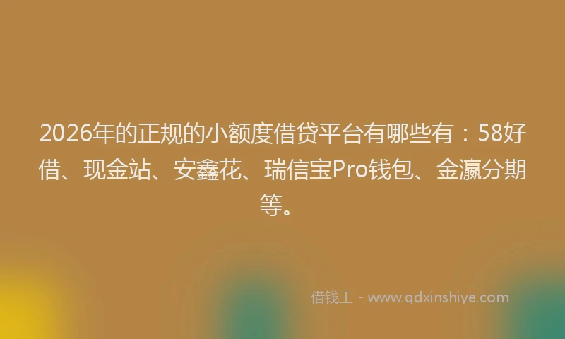 2026年的正规的小额度借贷平台有哪些有：58好借、现金站、安鑫花、瑞信宝Pro钱包、金瀛分期等。