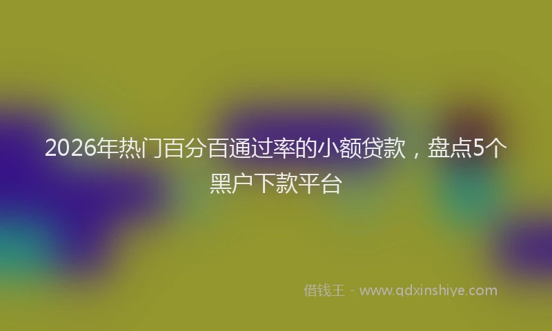 2026年热门百分百通过率的小额贷款，盘点5个黑户下款平台