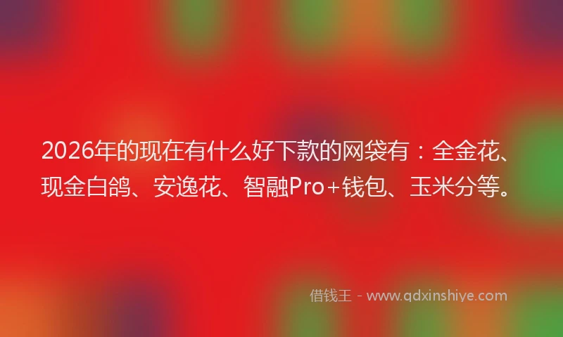 2026年的现在有什么好下款的网袋有：全金花、现金白鸽、安逸花、智融Pro+钱包、玉米分等。