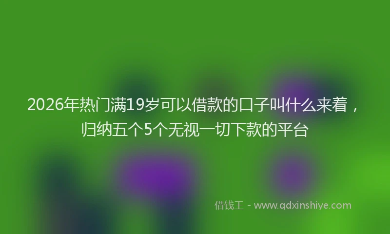 2026年热门满19岁可以借款的口子叫什么来着，归纳五个5个无视一切下款的平台