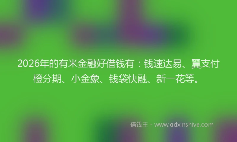 2026年的有米金融好借钱有:钱速达易、翼支付橙分期、小金象、钱袋快融、新一花等。