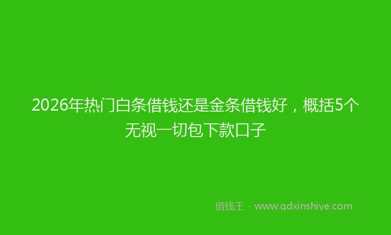 2026年热门白条借钱还是金条借钱好，概括5个无视一切包下款口子