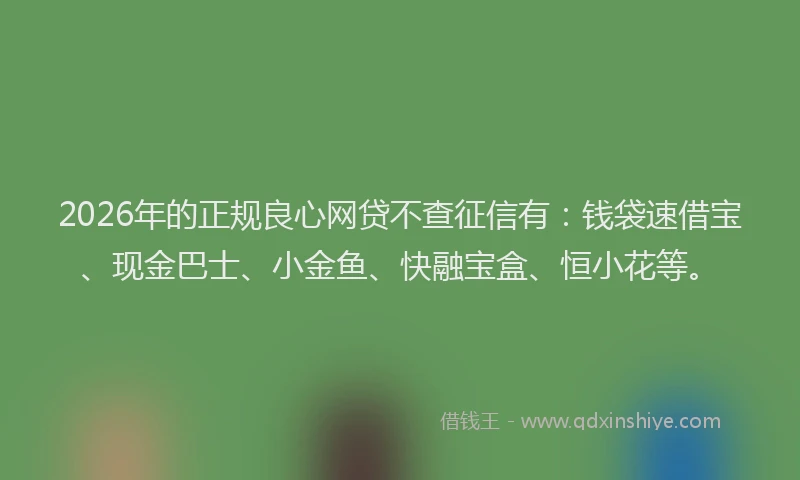 2026年的正规良心网贷不查征信有：钱袋速借宝、现金巴士、小金鱼、快融宝盒、恒小花等。