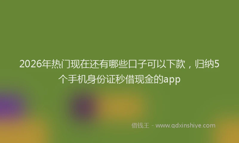 2026年热门现在还有哪些口子可以下款，归纳5个手机身份证秒借现金的app