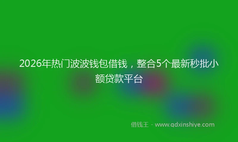 2026年热门波波钱包借钱，整合5个最新秒批小额贷款平台