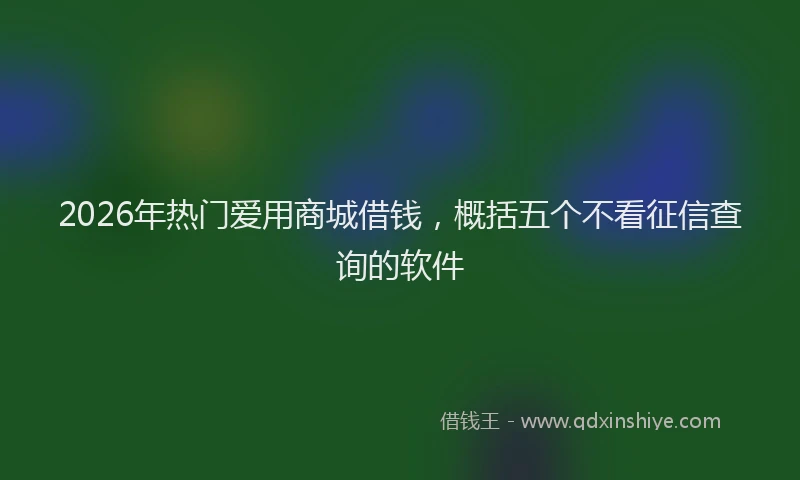2026年热门爱用商城借钱，概括五个不看征信查询的软件