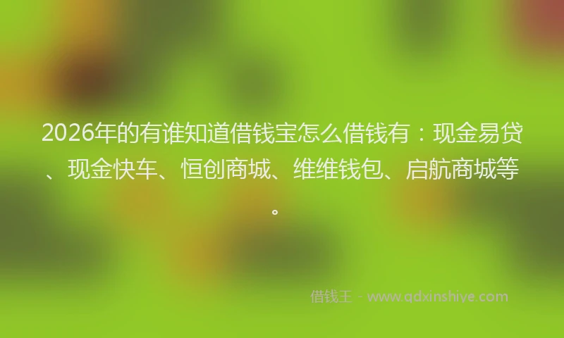 2026年的有谁知道借钱宝怎么借钱有:现金易贷、现金快车、恒创商城、维维钱包、启航商城等。
