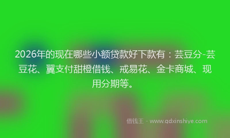 2026年的现在哪些小额贷款好下款有:芸豆分-芸豆花、翼支付甜橙借钱、戒易花、金卡商城、现用分期等。