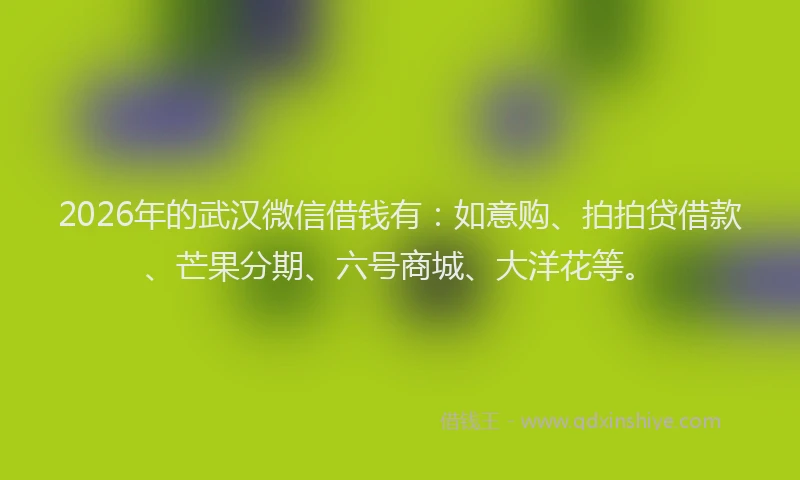 2026年的武汉微信借钱有:如意购、拍拍贷借款、芒果分期、六号商城、大洋花等。