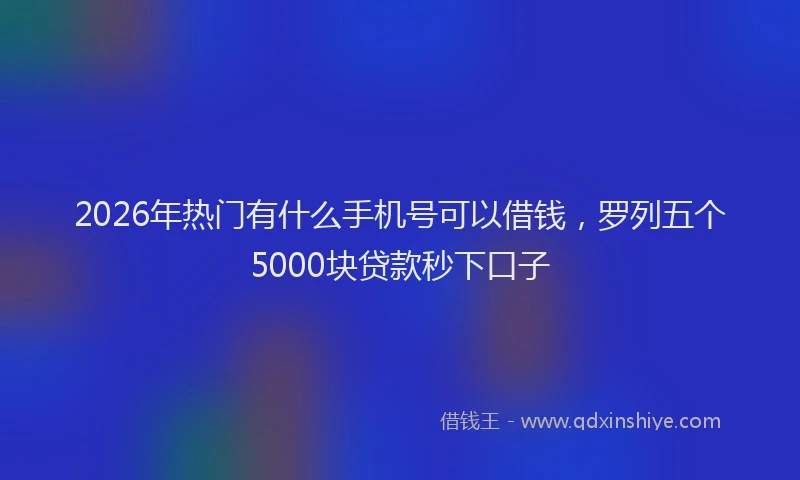 2026年热门有什么手机号可以借钱，罗列五个5000块贷款秒下口子