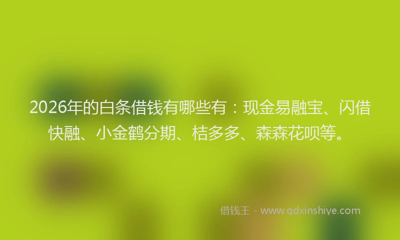 2026年的白条借钱有哪些有：现金易融宝、闪借快融、小金鹤分期、桔多多、森森花呗等。