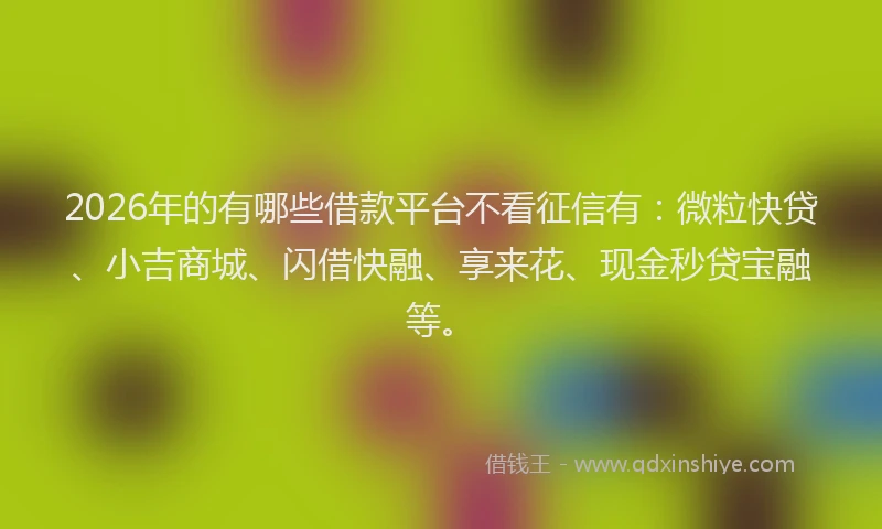 2026年的有哪些借款平台不看征信有：微粒快贷、小吉商城、闪借快融、享来花、现金秒贷宝融等。
